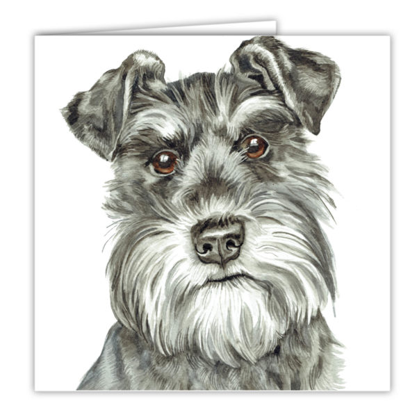 Schnauzer Art Card AC-262