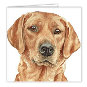 Fox Red Labrador Art Card (AC-263)