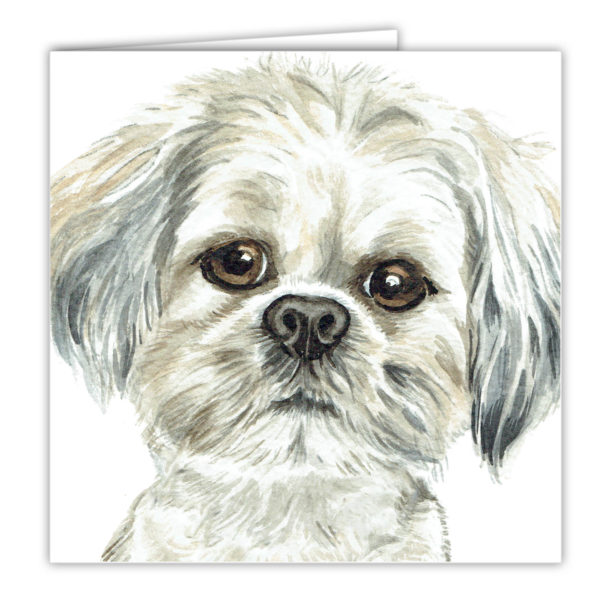 Lhasa Apso Art Card / Greetings Card (AC-264)