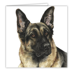 German Shepherd Art Card / Greetings Card (AC-28)