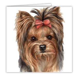 Yorkshire Terrier Art Card / Greetings Card (AC-32)