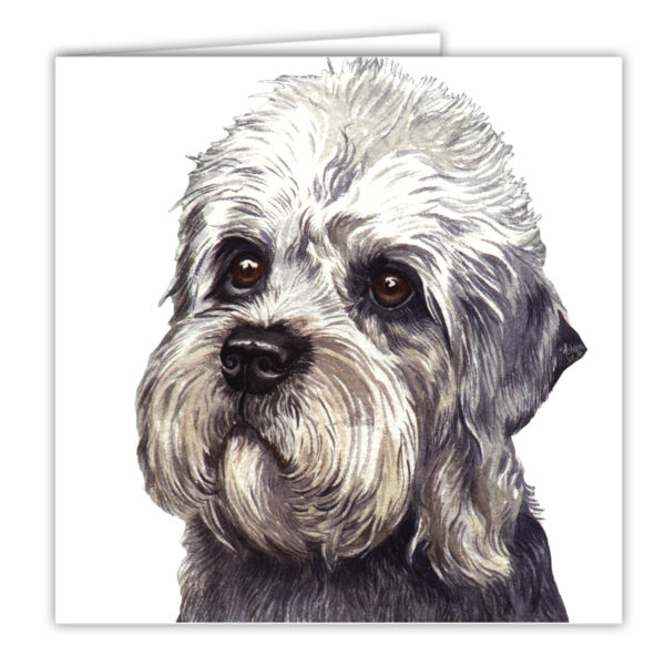 Dandie Dinmont Dog Art Card / Greetings Card (AC-42)