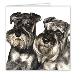 Miniature Schnauzer Pair Art Card / Greetings Card (AC-58)
