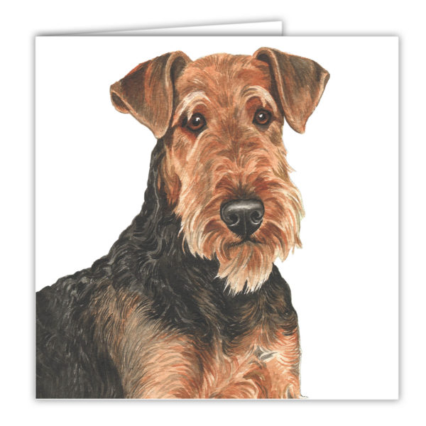 Airedale Terrier Art Card / Greetings Card (AC-63) - Image 2