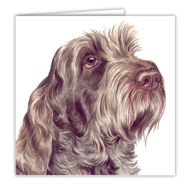 Italian Spinone Dog Art Card / Greetings Card (AC-72) - Image 2
