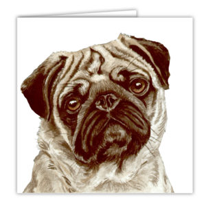 Pug Dog Art Card / Greetings Card (AC-78)