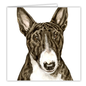 English Bull Terrier Art Card / Greetings Card (AC-90)