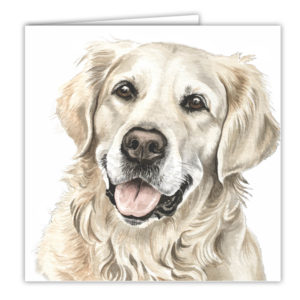 Golden Retriever Art Card / Greetings Card (AC-92)