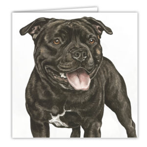 Staffordshire Bull Terrier Art Card / Greetings Card (AC-96)