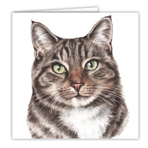 Tabby Cat Art Card / Greetings Card (AC-EC11)