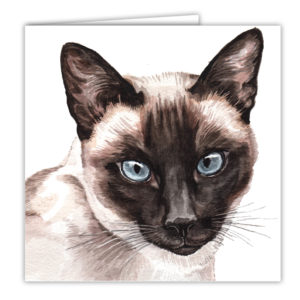 Siamese Cat Art Card / Greetings Card (AC-EC12)