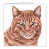 Ginger Cat Art Card / Greetings Card (AC-EC13) - Image 2