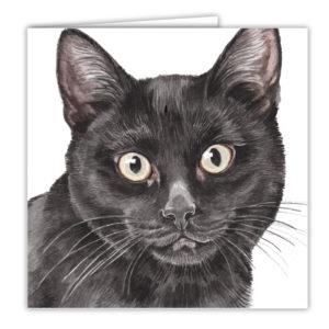 Black Cat Art Card / Greetings Card (AC-EC14)