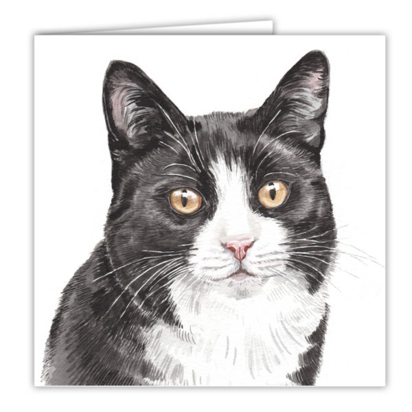 Black & White Cat Art Card / Greetings Card (AC-EC15) - Image 2