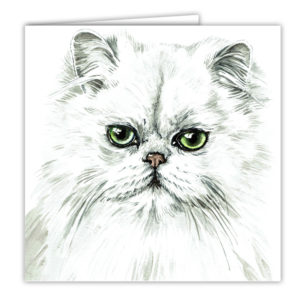 Persian Cat Art Card / Greetings Card (AC-EC17)