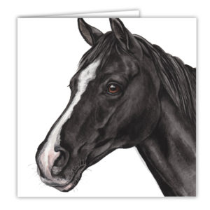 Black & White Horse Art Card / Greetings Card (AC-EQ02)