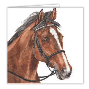 Bay Horse Art Card / Greetings Card (AC-EQ03)