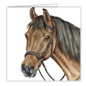 Bay Horse Art Card / Greetings Card (AC-EQ05)