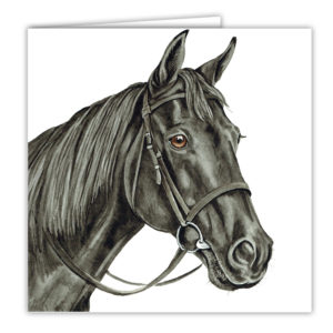Black Horse Art Card / Greetings Card (AC-EQ06)