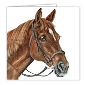Chestnut Horse Art Card / Greetings Card (AC-EQ07)