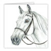 Grey Horse Art Card / Greetings Card (AC-EQ08) - Image 2