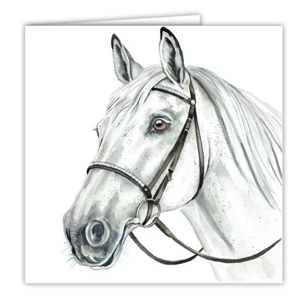 Grey Horse Art Card / Greetings Card (AC-EQ08) - Image 2