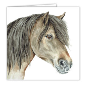 Shetland Pony Art Card / Greetings Card (AC-EQ09)