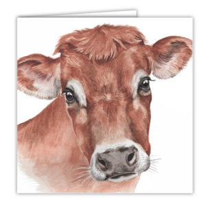 Jersey Cow Art Card / Greetings Card (AC-FY02)