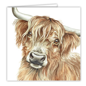 Highland Cow Art Card / Greetings Card (AC-FY05)