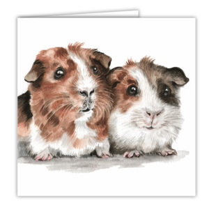 Guinea Pigs Art Card / Greetings Card (AC-FY07)