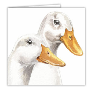 Ducks Art Card / Greetings Card (AC-FY09)