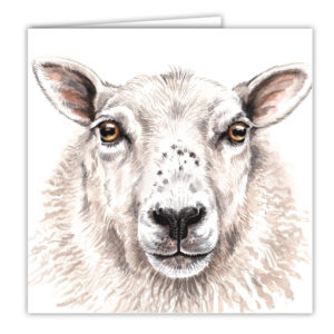 Sheep Art Card / Greetings Card (AC-FY10)