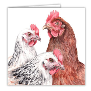 Hens Art Card  / Greetings card ( AC-FY11 )