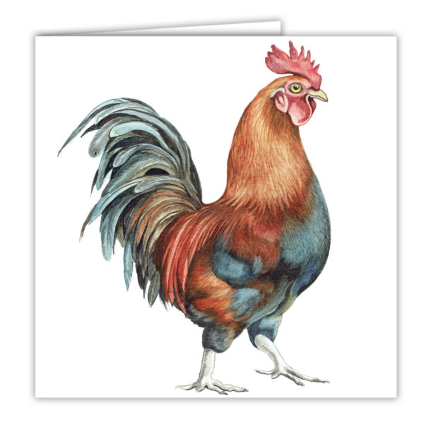 Cockerel Art Card / Greetings car (AC-FY13)