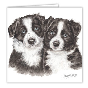 Border Collie Puppies Art Card / Greetings Card (AC-PU03)