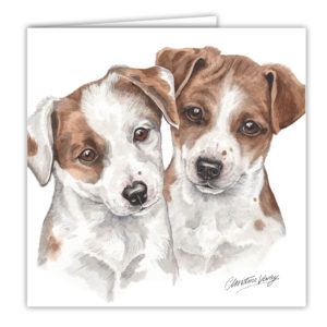 Jack Russell Puppies Art Card / Greetings Card (AC-PU07)