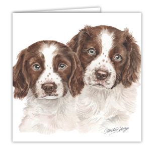 Springer Spaniel Puppies Art Card / Greetings Card (AC-PU08)