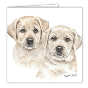 Yellow Labrador Puppies Art Card / Greetings Card (AC-PU09)