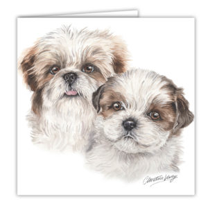 Shih Tzu Puppies Art Card / Greetings Card (AC-PU11)