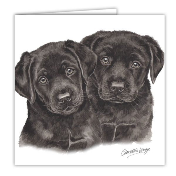 Black Labrador Puppies Art Card / Greetings Card (AC-PU12)