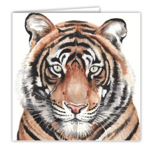 Tiger Art Card / Greetings Card (AC-WL01)