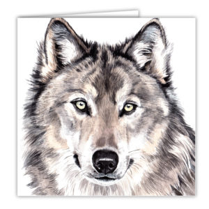 Wolf Art Card / Greetings Card (AC-WL02)