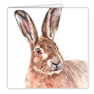 Hare Art Card / Greetings Card (AC-WL03)