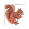 Red Squirrel Art Card / Greetings Card (AC-WL06) - Image 2