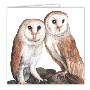 Barn Owl Pair Art Card / Greetings Card (AC-WL07)