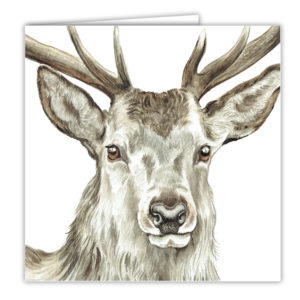 Wild Stag Art Card /  Greetings Card (AC-WL08)