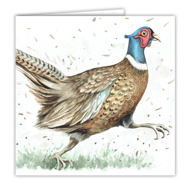Pheasant greetings card / Art Card (AC-WL09)