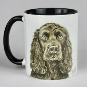 Chocolate Cocker Spaniel