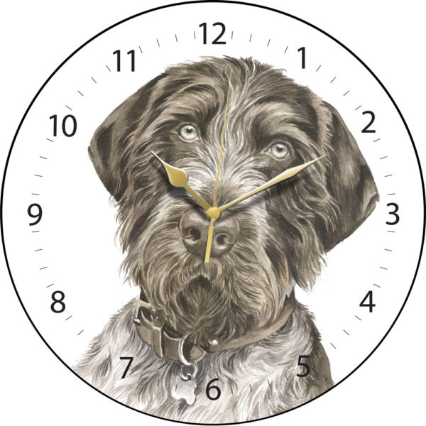 German Wire-haired Pointer Dog Clock