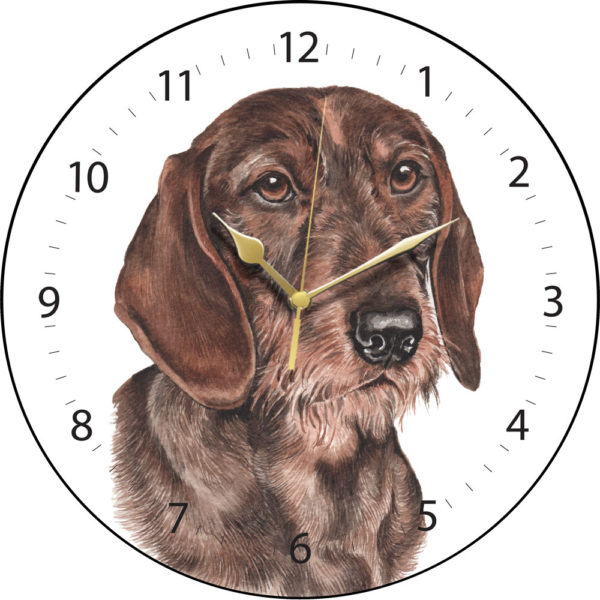 Wire Haired Dachshund Dog Clock